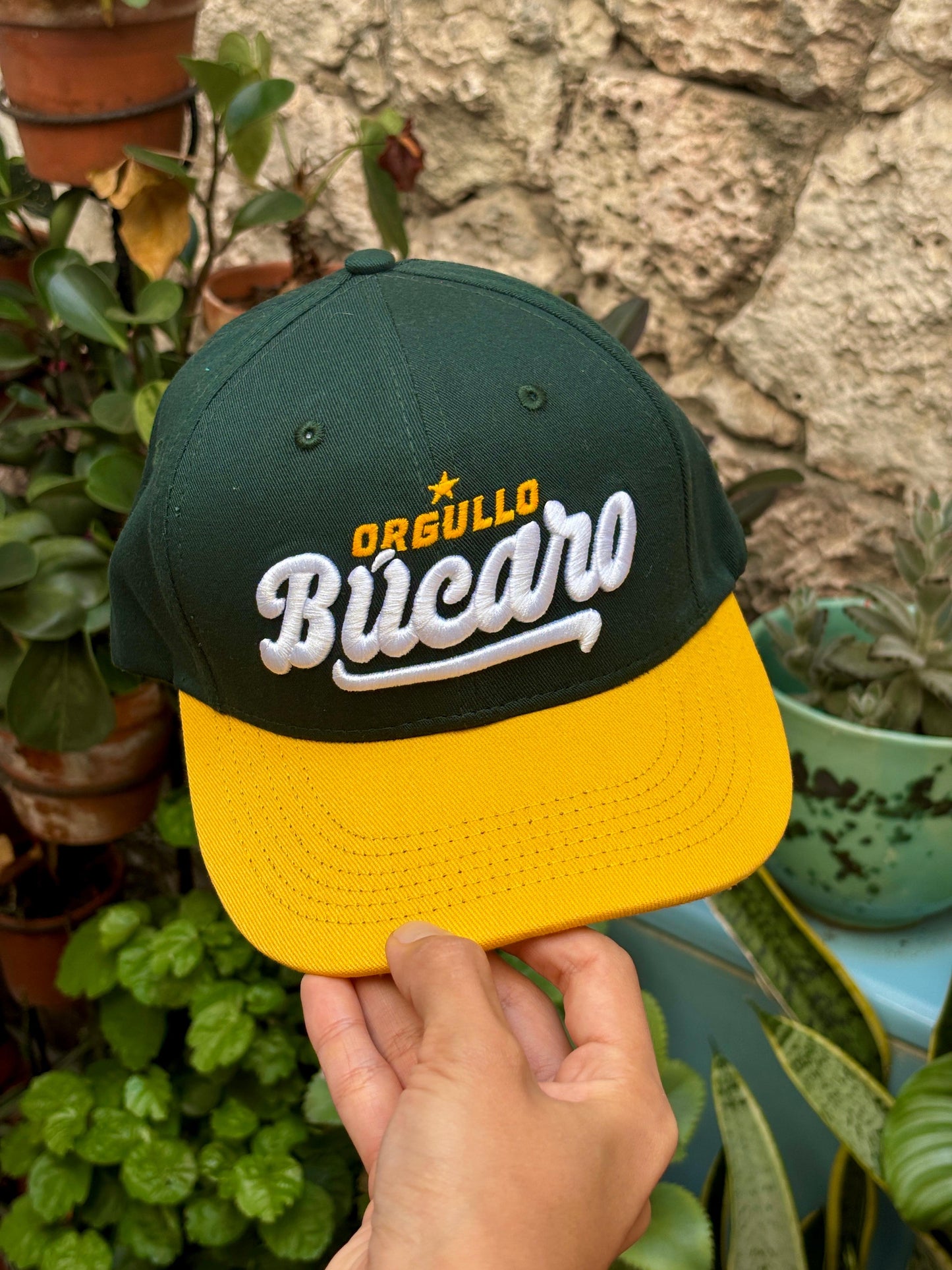 Gorra búcara